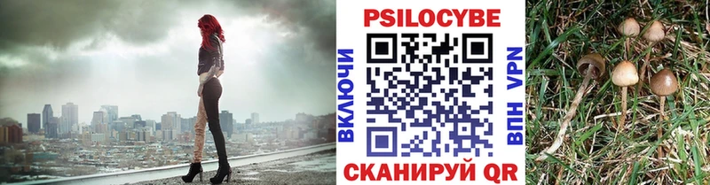 hydra как войти  где купить наркотик  Белорецк  Галлюциногенные грибы мухоморы 