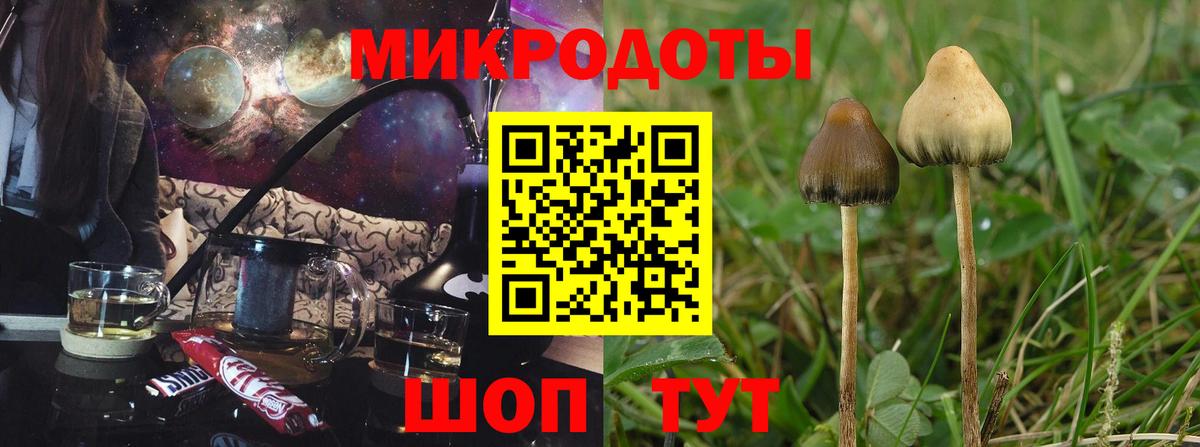 Псилоцибиновые грибы MAGIC MUSHROOMS  Вход с VPN  где найти   Белорецк 